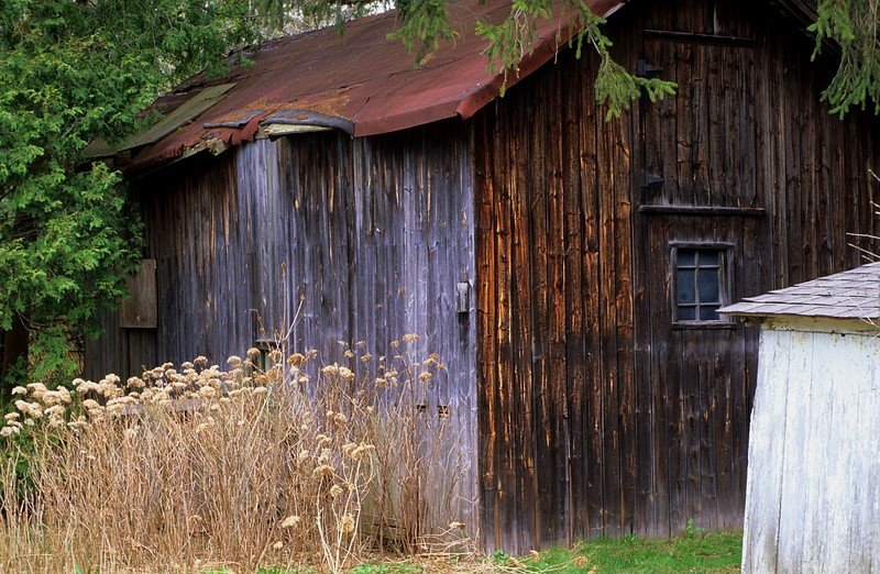 Old barn