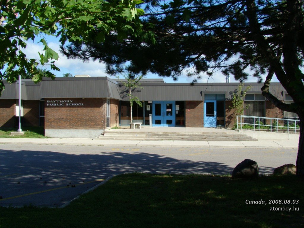 Baythorn public school