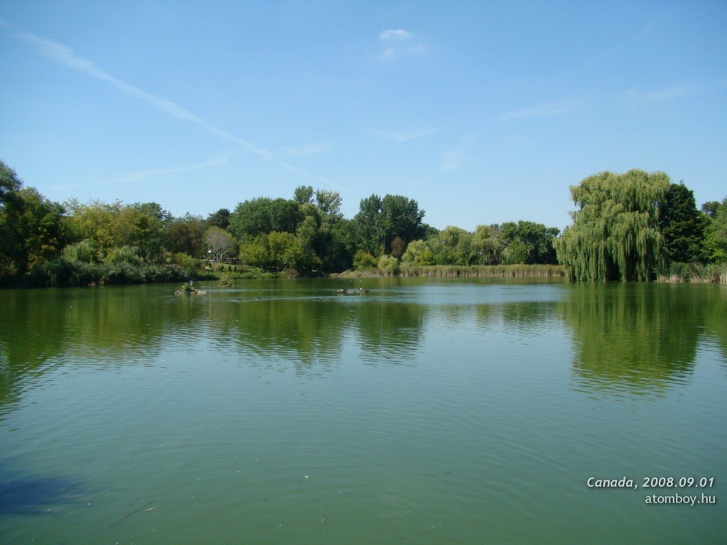 Oakbank Pond