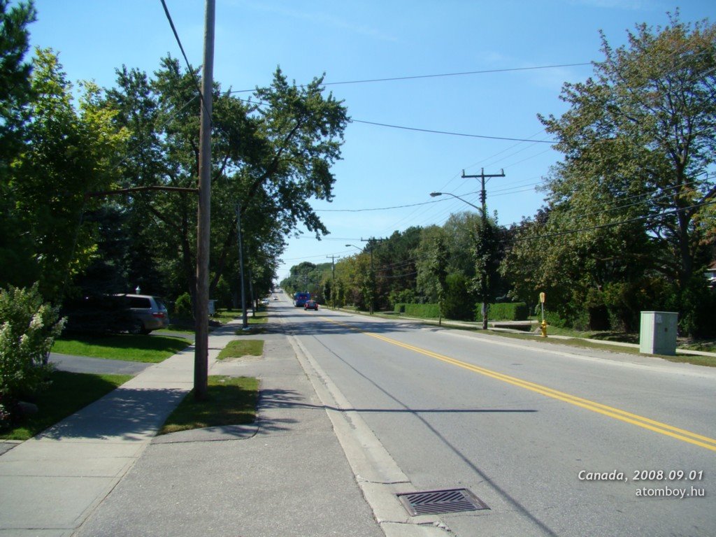 Centre Street, Vaughan