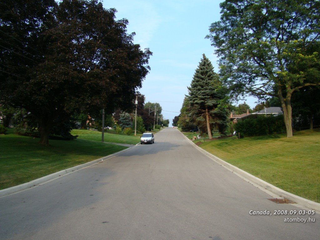 Longbridge Rd, Thornhill