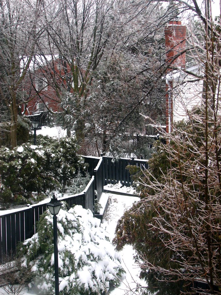 Old Thornhill Park Snow