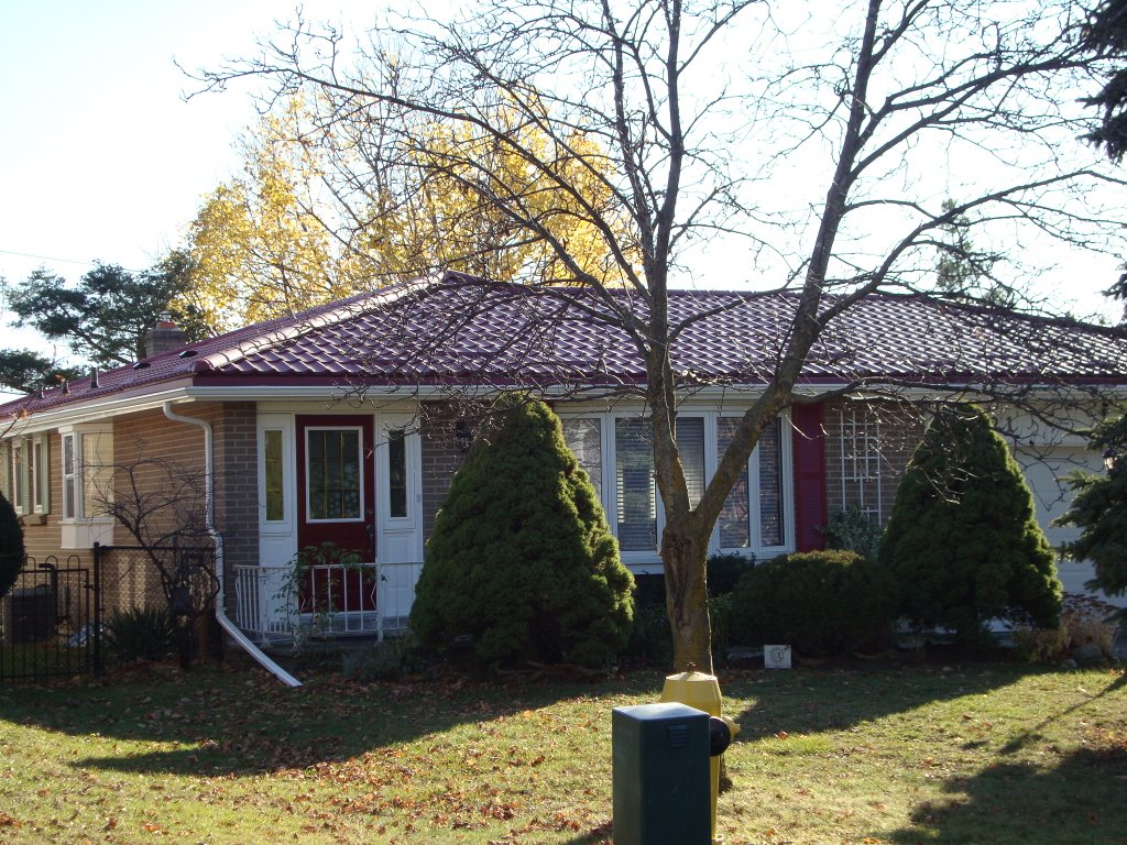 Metal Roof