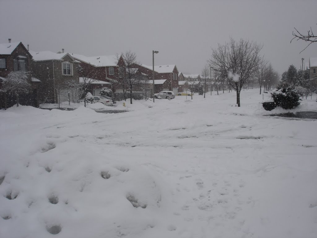 Thornhill