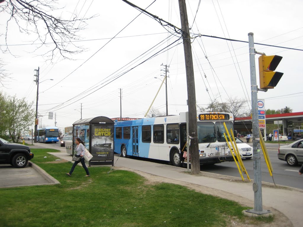 YRT Bus #99 on Yonge at Steeles