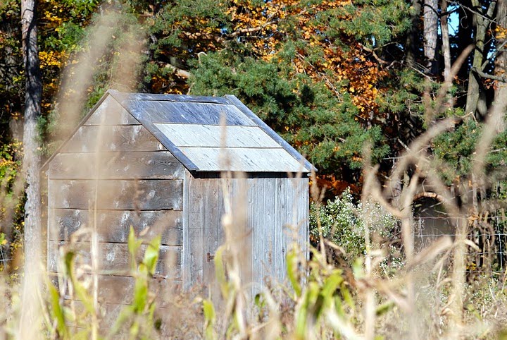 Thornhill, Ontario: Cabin in the Fields