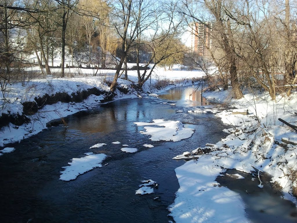 winter in the park