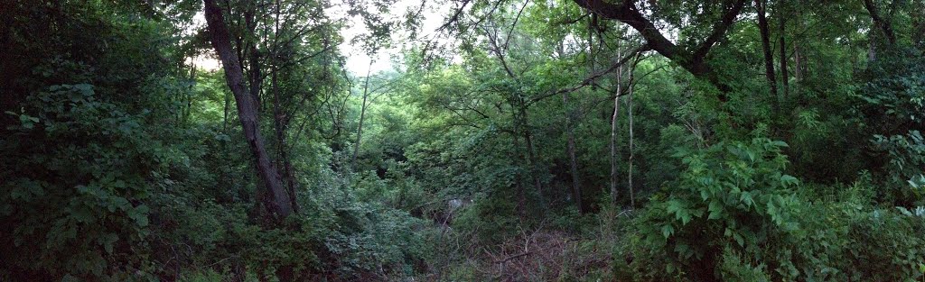 Don Valley Park