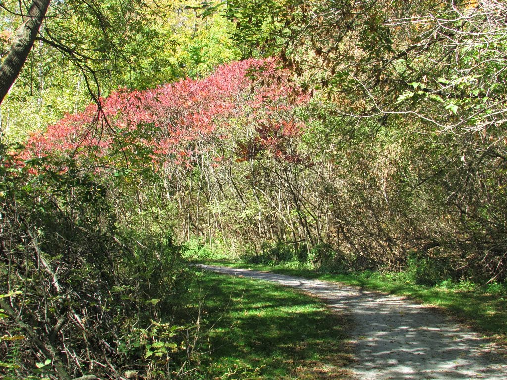 Pomona Mills Park