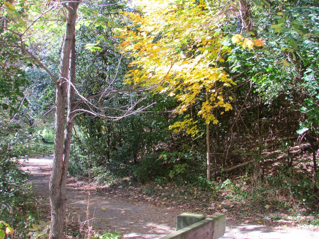 Pomona Mills Park