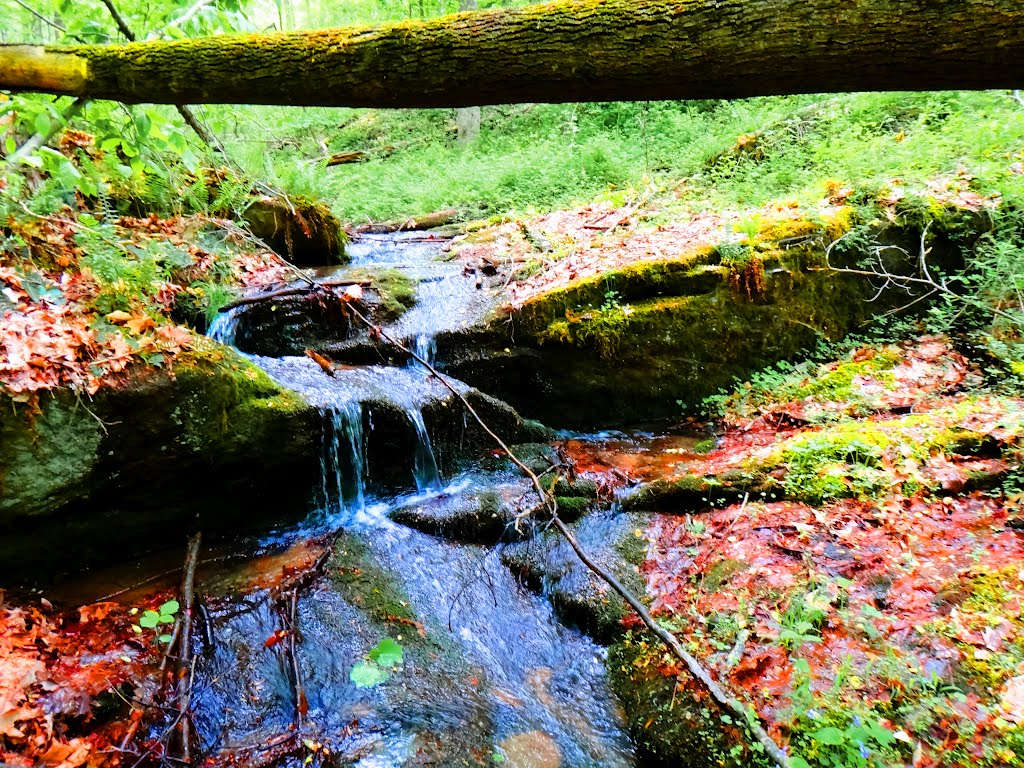 Waterfall