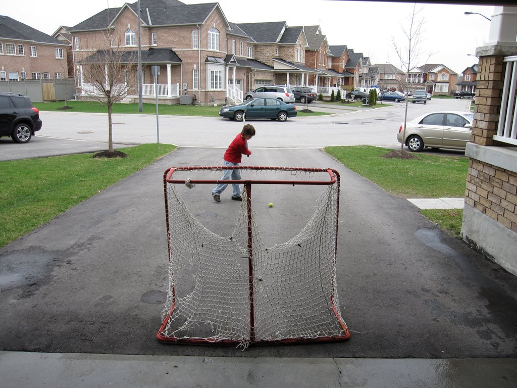 Hockey fan in Aurora April 2009
