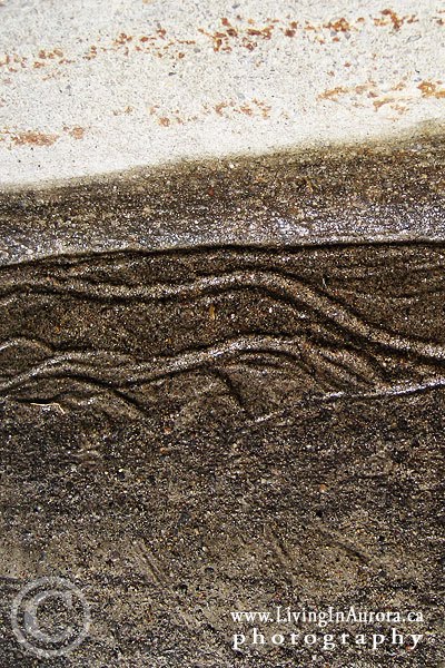 Curb Earthworm Art on Pinnacle Trail, Aurora, Ontario