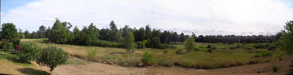 $1M dollar view