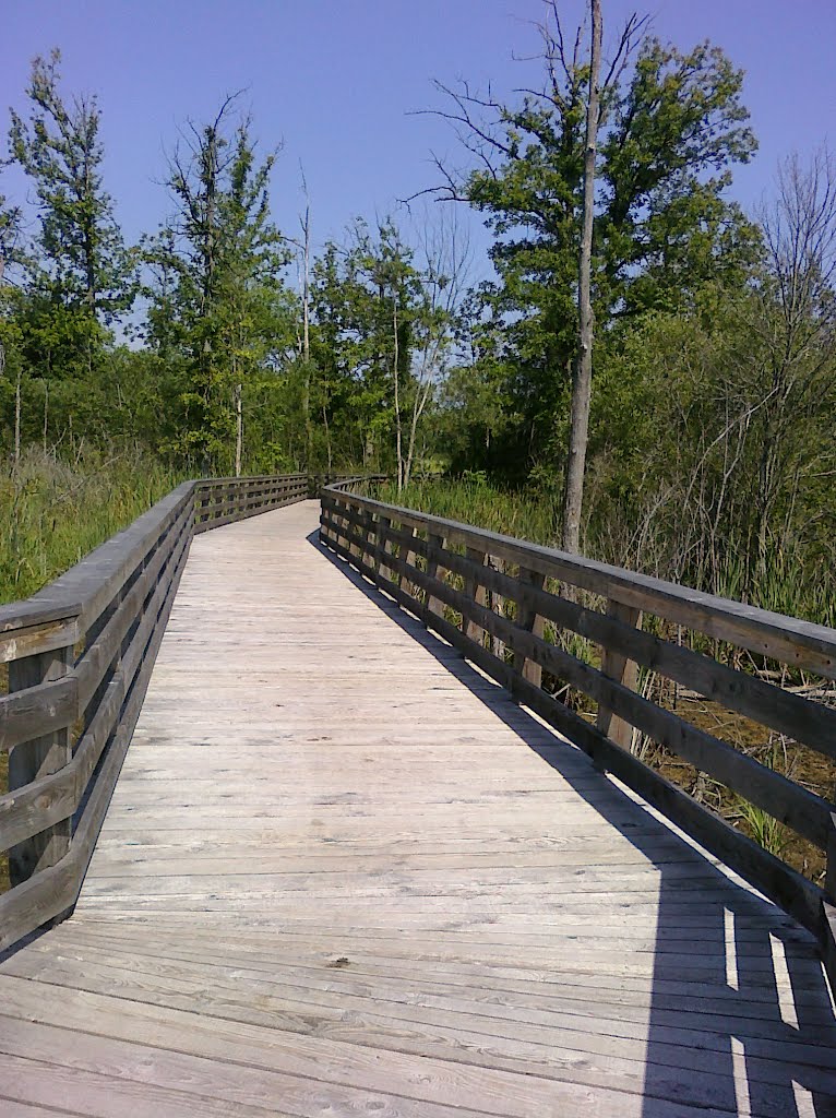 Tom Taylor Boardwalk