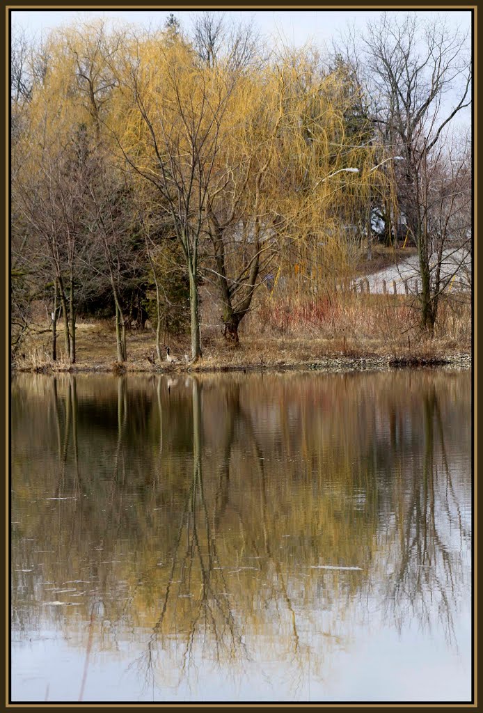 Richmond Hill
