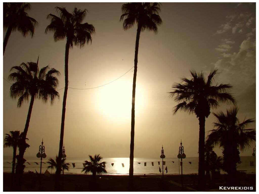 Phinikoudes Beach