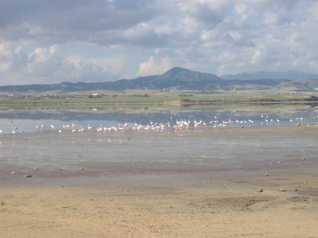 Salt Lake