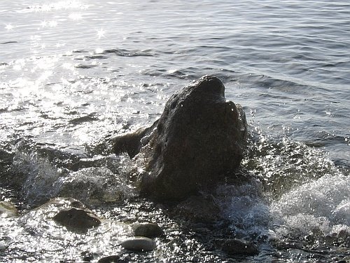 Coastal rocks
