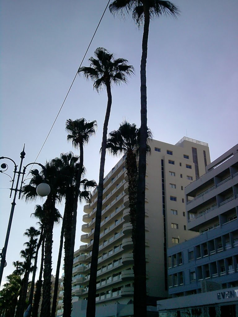 Finikoudes-Larnaca promenad