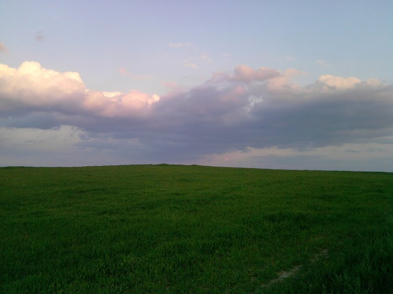 Half and half