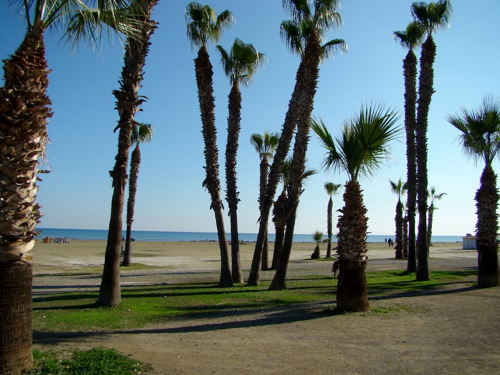 Larnaca Promenade, Athenon Avenue, Cyprus