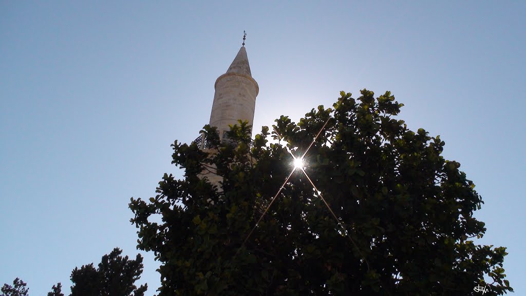 Larnaca