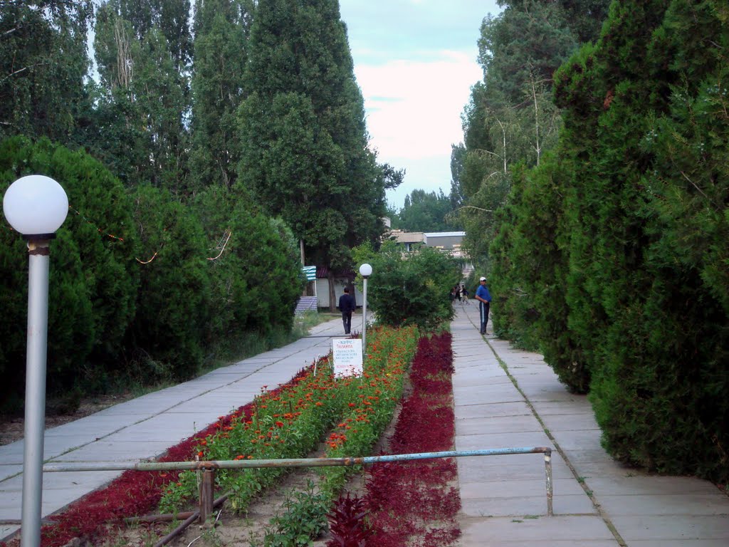 Прогулки