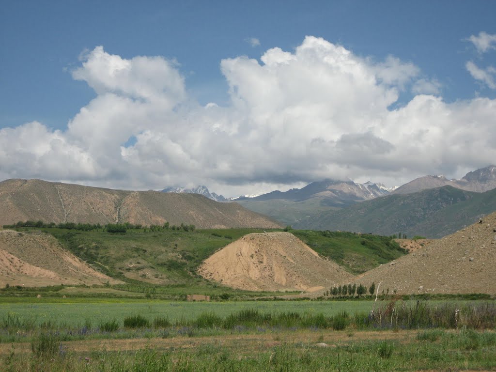 Красота