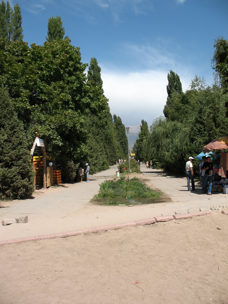 В Золотых Песках
