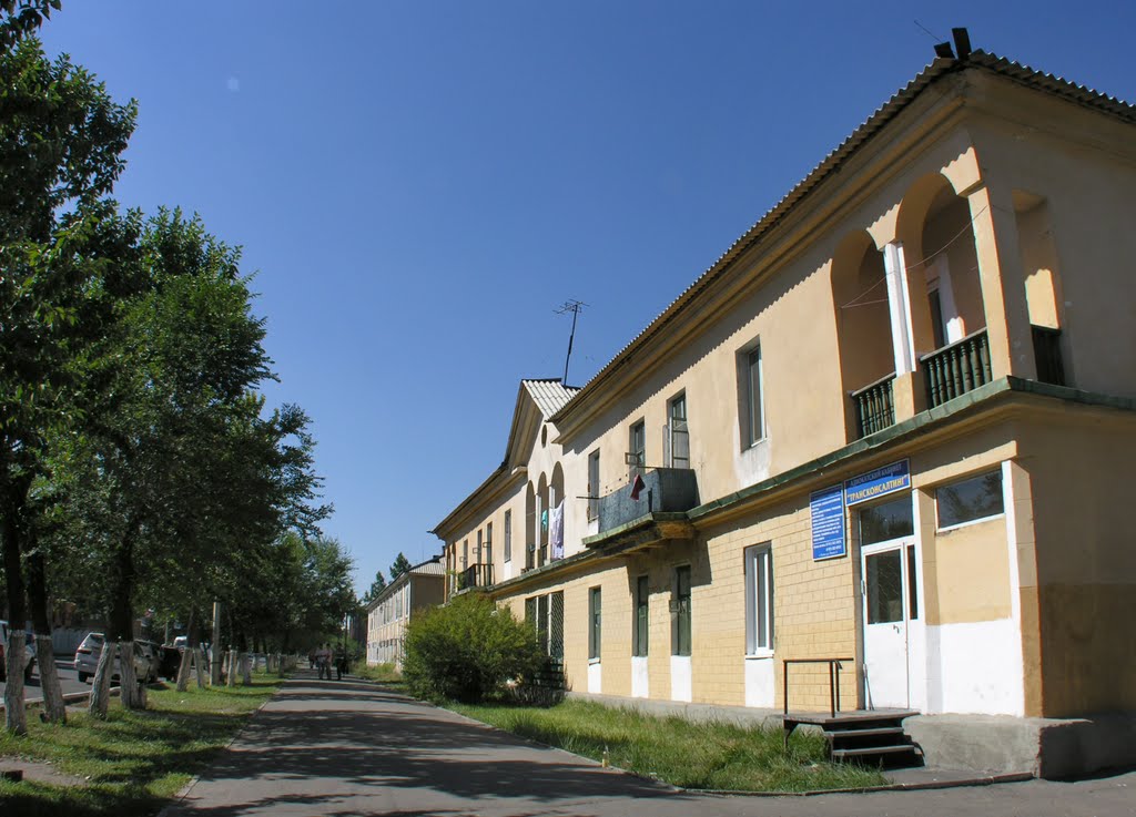 Building on Lenina street