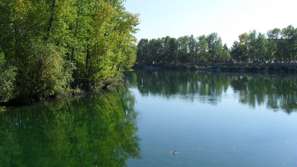 В парке