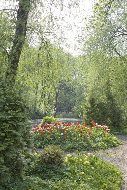 Aptekarskiy Ogorod (Botanical garden MSU). Tulips. May 2007. — Аптекарский огород (Ботанический сад МГУ). Тюльпаны. Май 2007.