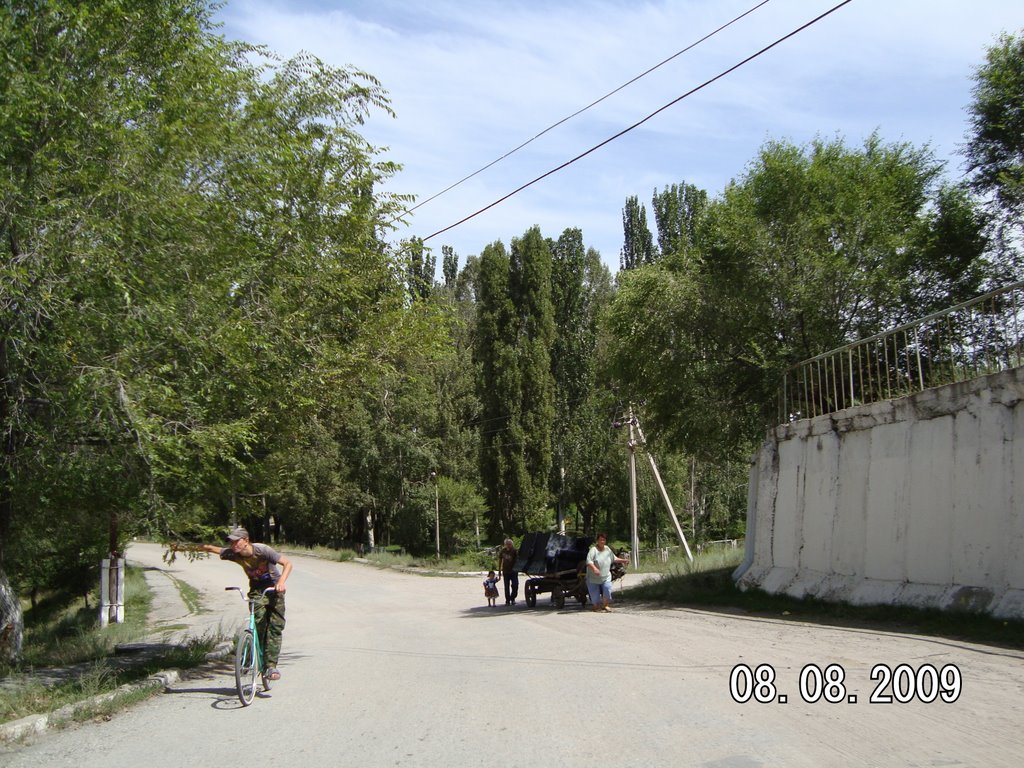 August 2009.