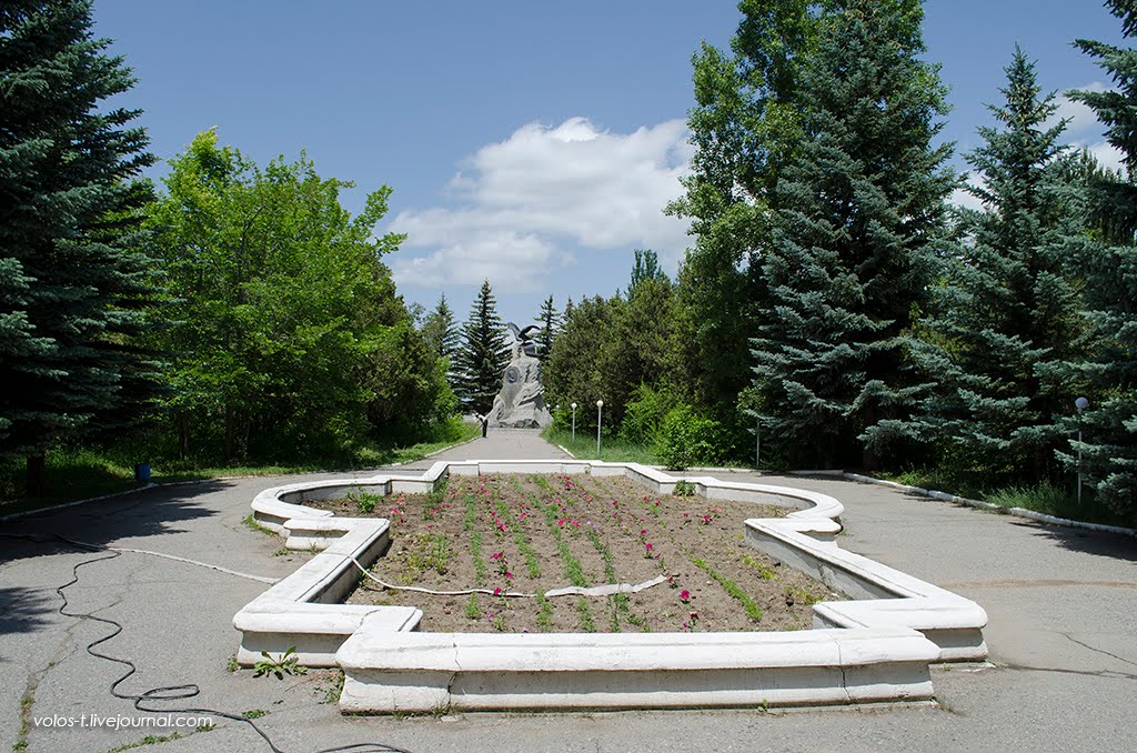 Аллея в мемориальном музее Н.М.Пржевальского (июнь 2013г.)