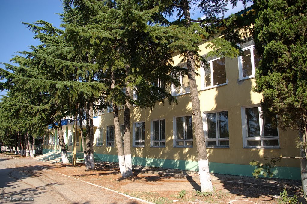 School in Rybachje village