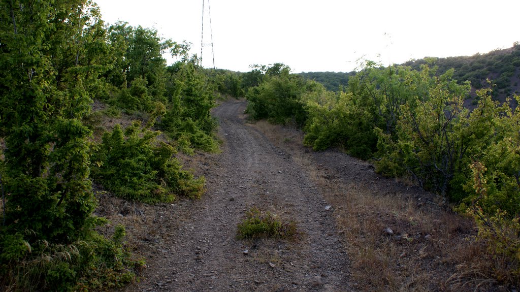Дорога в горы