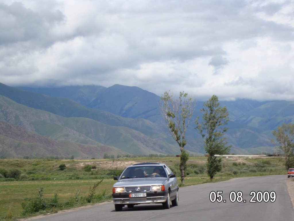 2009г.