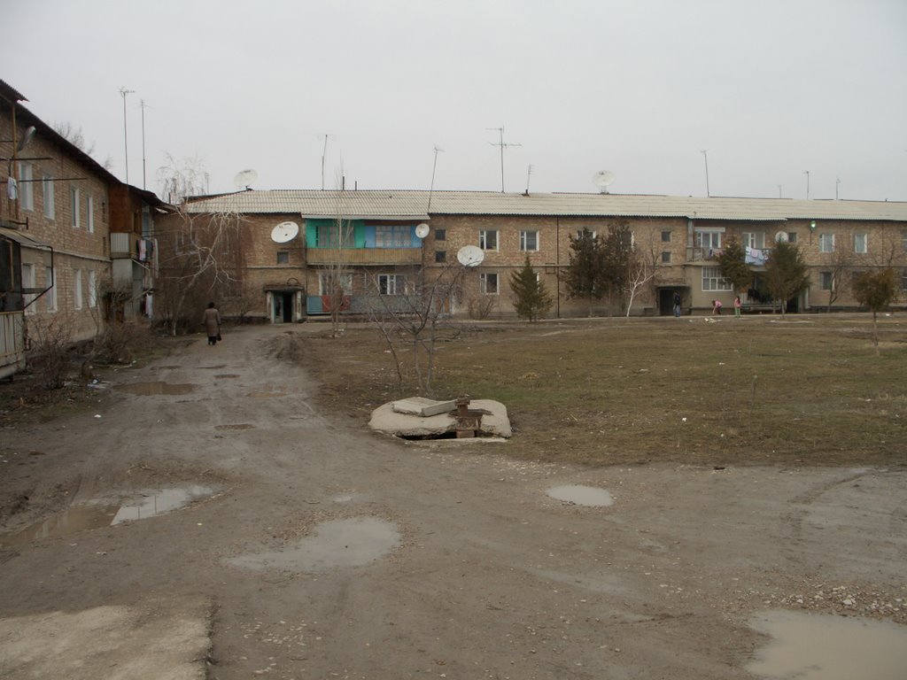 Кислых