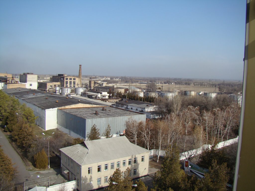 Kara-Balta