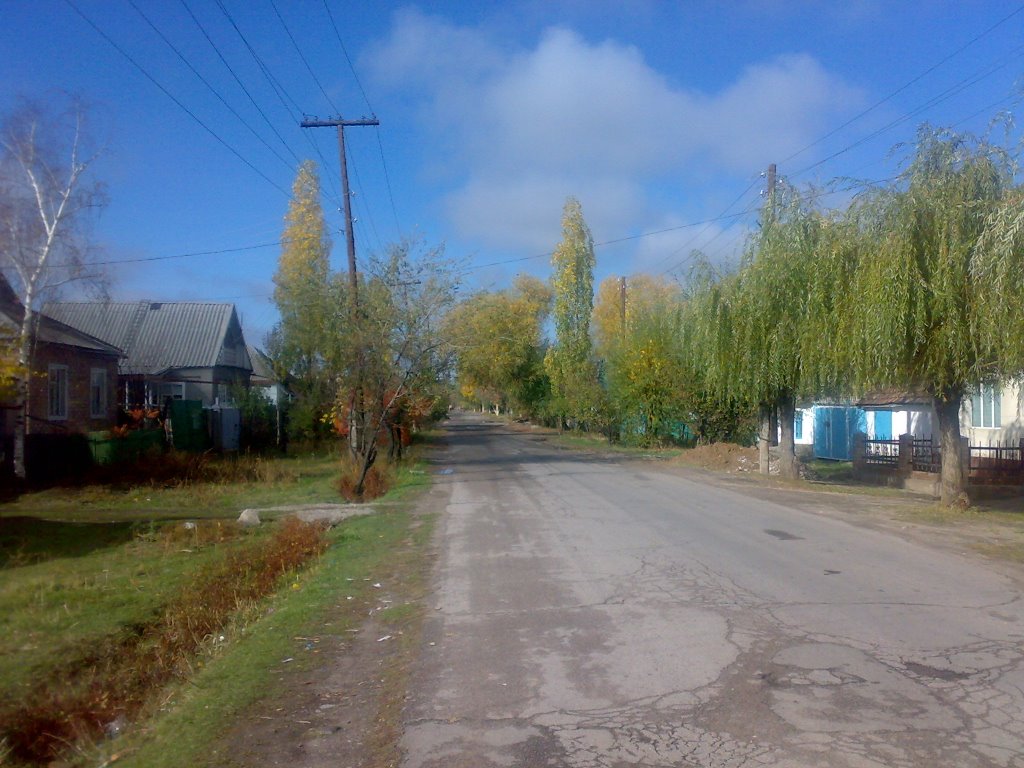 Пушкина/Куйбышева