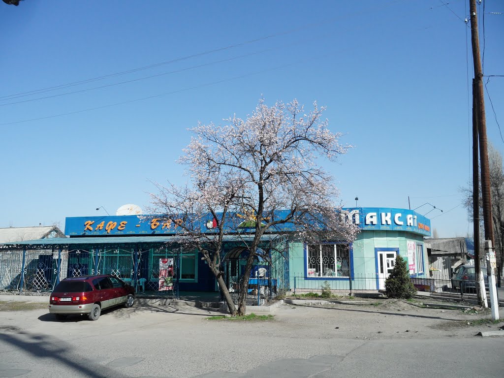 Oktyabrskaya/Panfilova