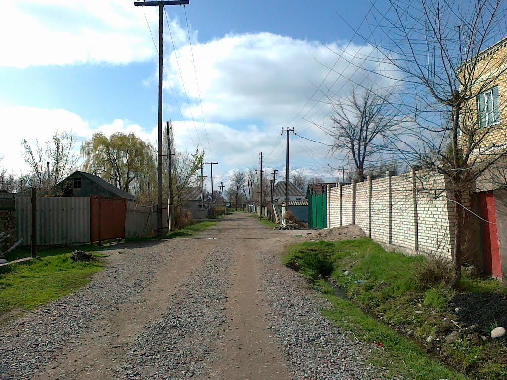 Kujbysheva st.