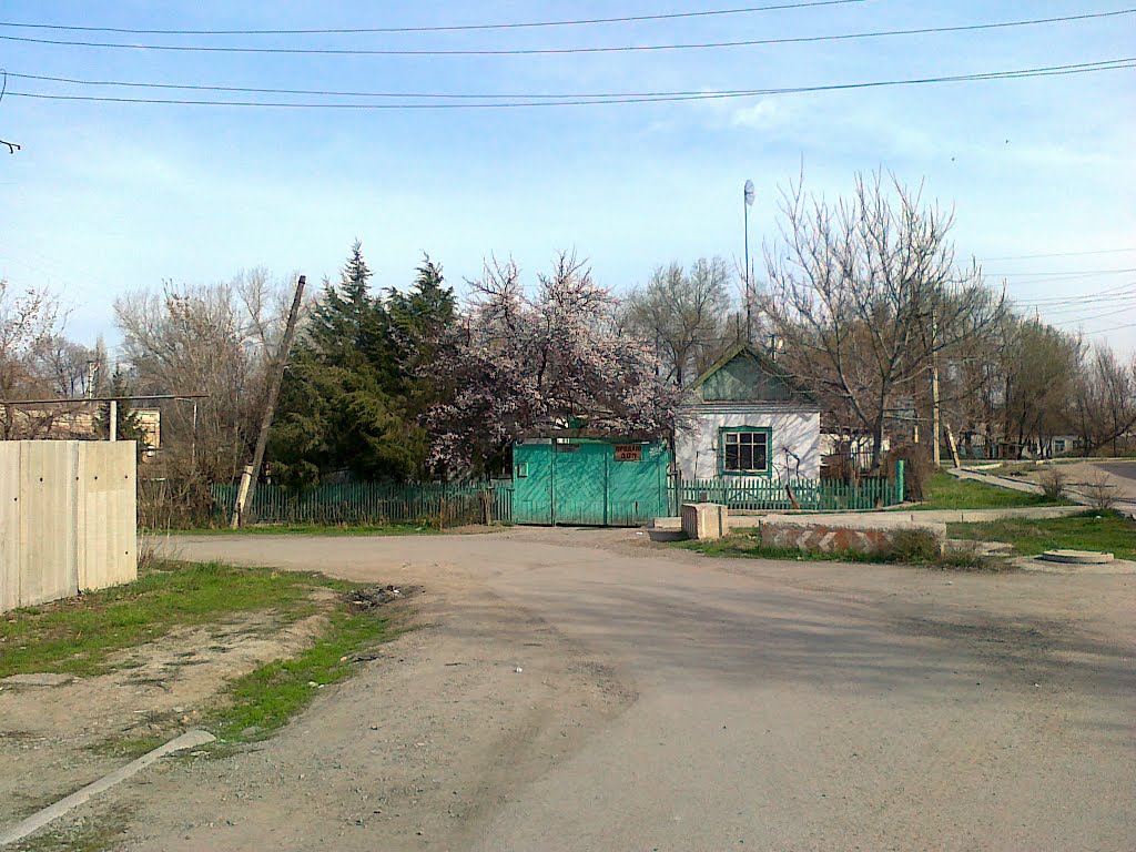 Leningradskaya/Toktogula