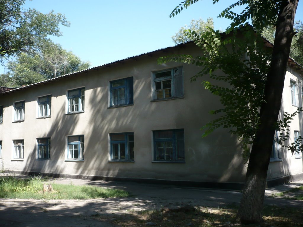 кантовский роддом