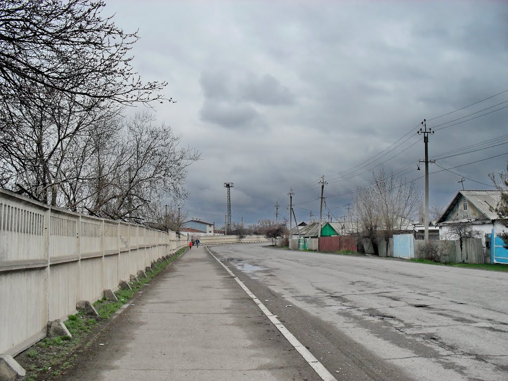 ул. Шопокова.