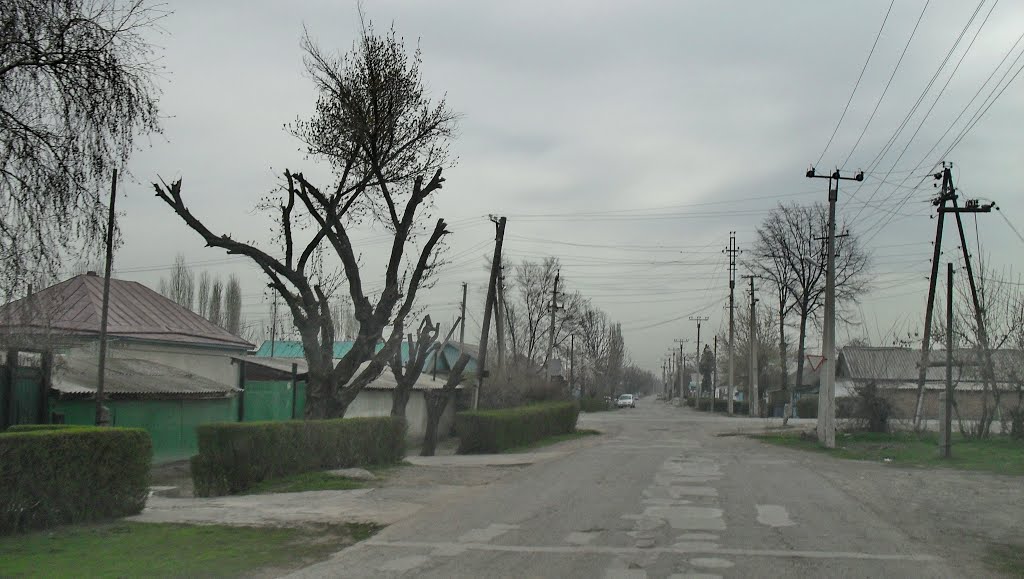 ул. Луговая.