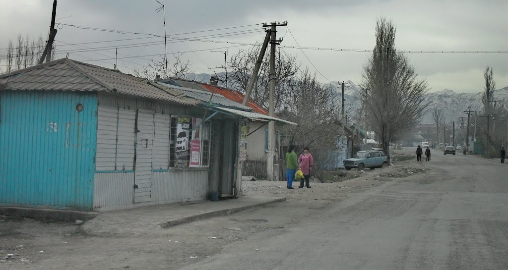 ул. Труда.