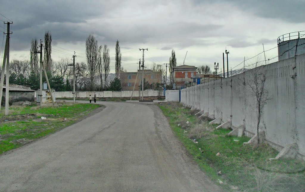 Вид на таможню.