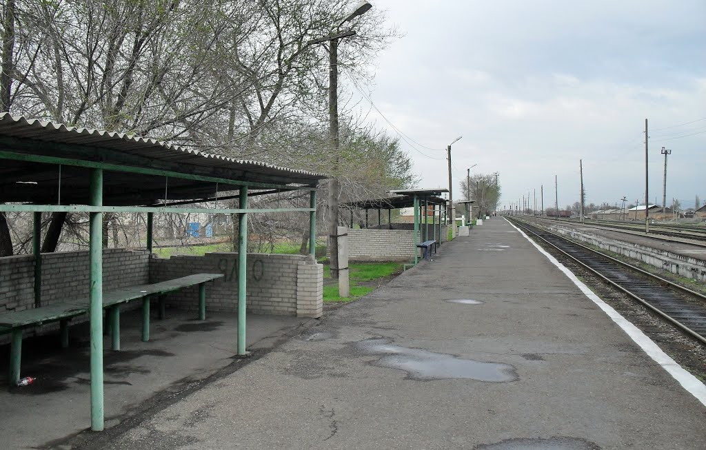 Ст. Кара-Балта.